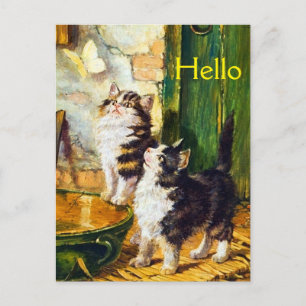 Cartão Postal Gatos Vitorianos Borboleta Gatinhos Curiosos Vinta