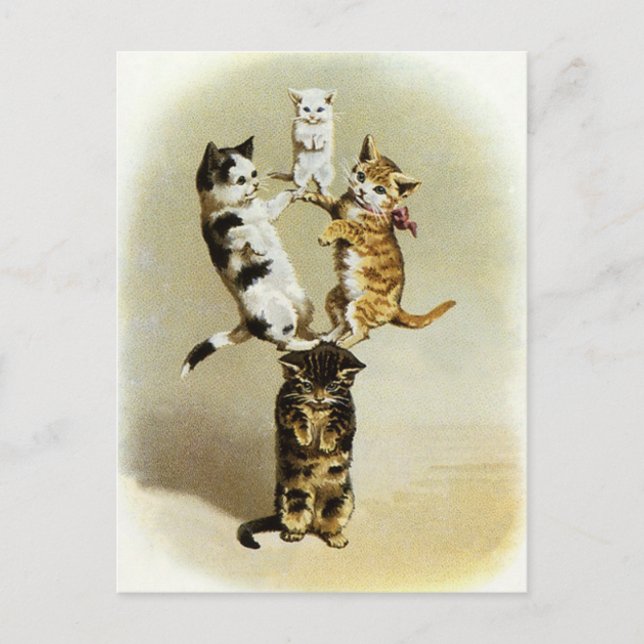 Cartão Postal Gatos Vitorianos Cujos Gatinhos Vintage Brincam, H (Frente)