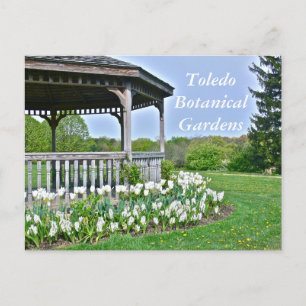 CARTÃO POSTAL "GAZEBO AND WHITE TULIPS"/TOLEDO BOT