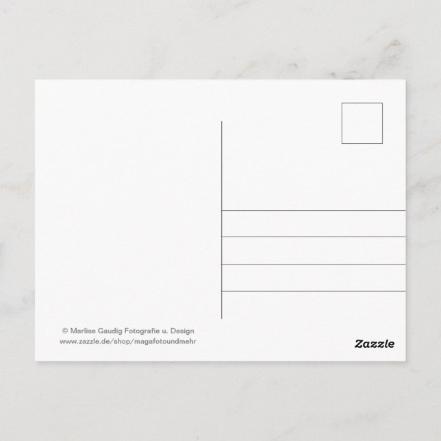 Cartão Postal Geburtstags Schneckenpost (Verso)