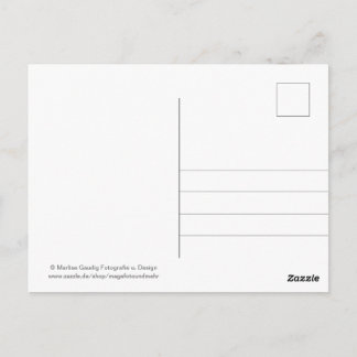 Cartão Postal Geburtstags Schneckenpost