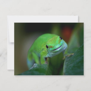 Cartão Postal Gecko do Dia de Madagáscar Verde