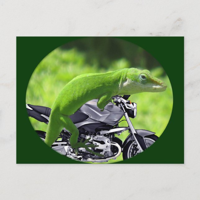 Cartão Postal Gecko Rider Verde Havaiano (Frente)