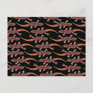 Cartão Postal Geckos