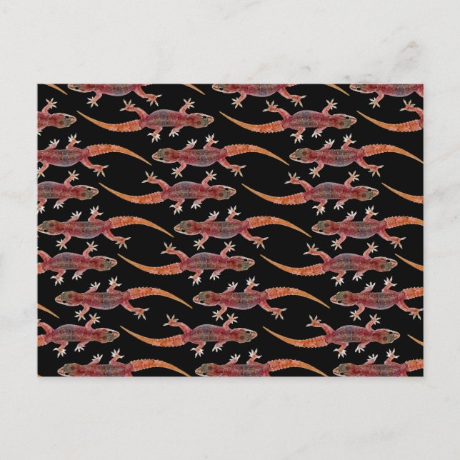 Cartão Postal Geckos (Frente)