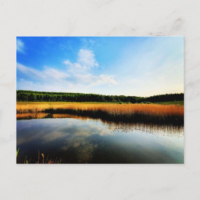 Cartão Postal Gedling Country Park (Frente)