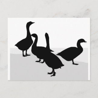 Cartão Postal Geese
