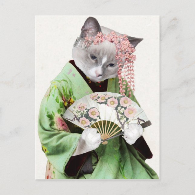 Cartão Postal Geisha Kitten Postcard (Frente)