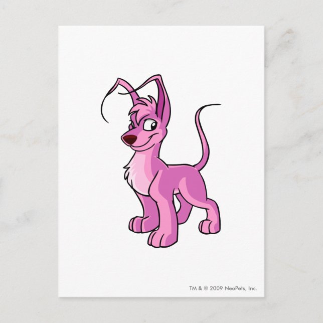 Cartão Postal Gelert Pink (Frente)