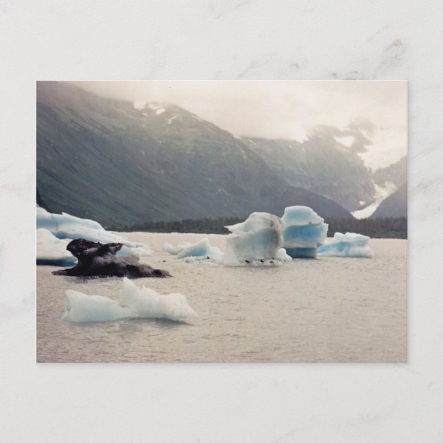 Cartão Postal Gelo azul (Frente)