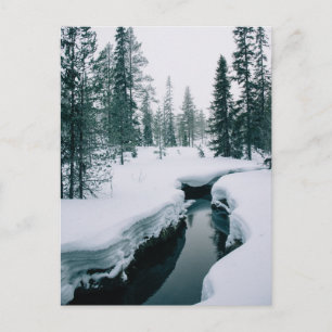 Cartão Postal Gelo e neve Fluxo numa paisagem de inverno com n