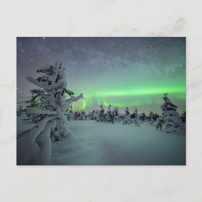 Cartão Postal Gelo e neve | Parque Nacional de Pallas-Yllastuntu (Frente)