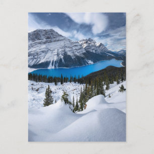 Cartão Postal Gelo e neve Peyto Lake, Rockies canadianos