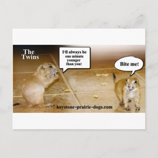 Cartão Postal Gêmeos (Frente)