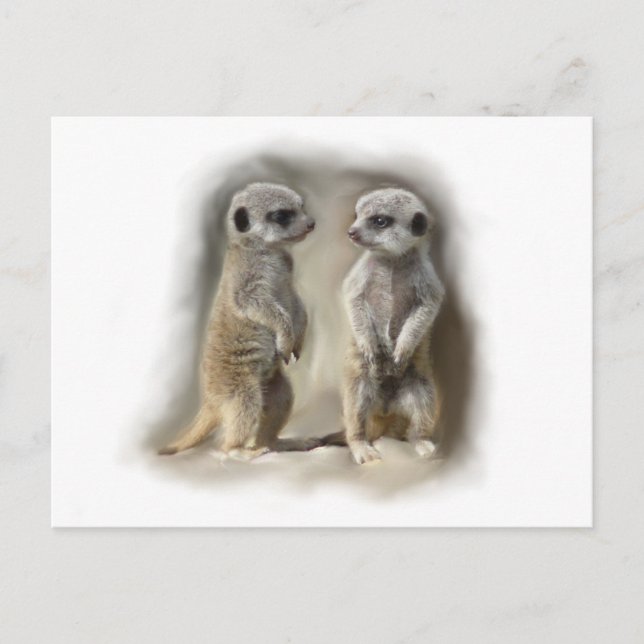 Cartão Postal Gêmeos bebês Meerkat (Frente)