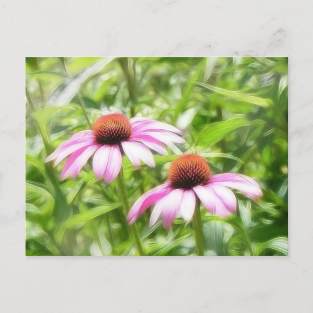 Cartão Postal Gêmeos Coneflower (Frente)