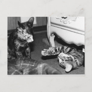 Cartão Postal Gemini e Whisper