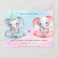 gênero revela festa, ele ou ela