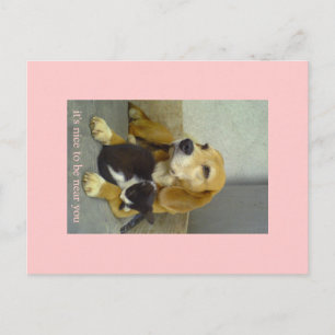 Cartão Postal gentil