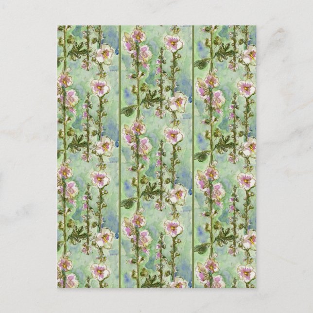Cartão Postal Gentle Mallow (Frente)
