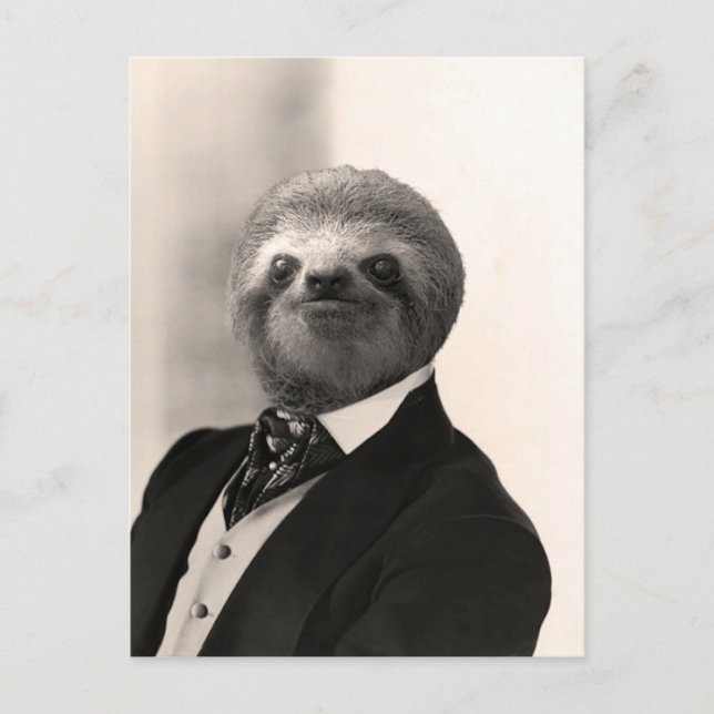 Cartão Postal Gentleman Sloth #4 (Frente)