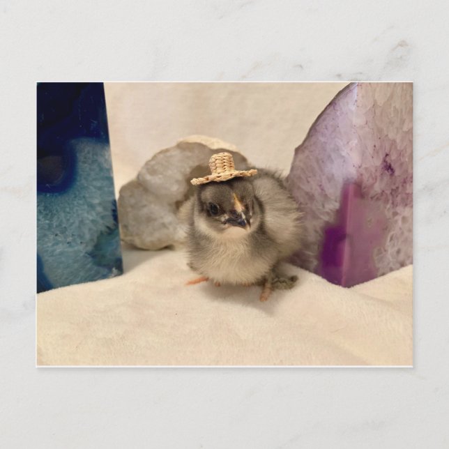 Cartão Postal Geodude (Frente)