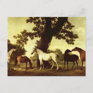Cartão Postal George Stubbs