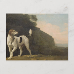 Cartão Postal George Stubbs A Foxhound, c.1760 (óleo em papel
