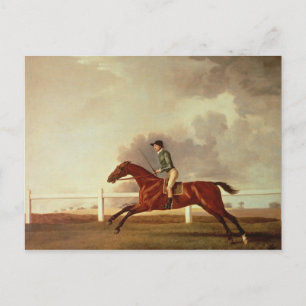 Cartão Postal George Stubbs Bay Malton com John Singleton Up,