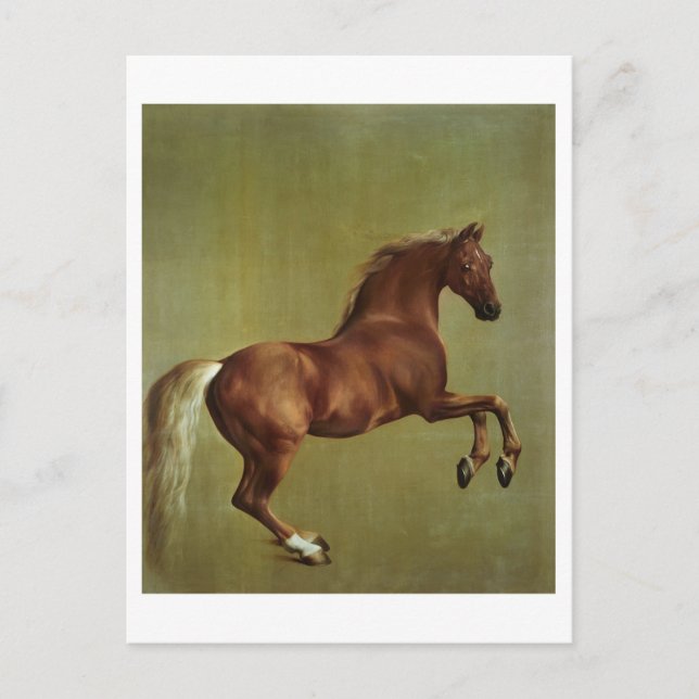 Cartão Postal George Stubbs | Casaco de assobio, 1762 (Frente)