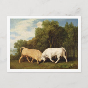 Cartão Postal George Stubbs   Combate a touros, 1786 (óleo no p