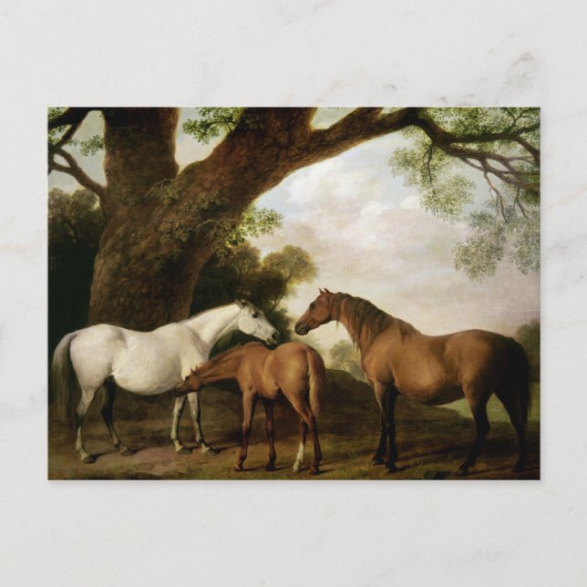 Cartão Postal George Stubbs | Dois Shafto Mares e um Foal, 1774 (Frente)