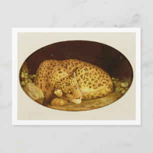 Cartão Postal George Stubbs   Leopardo dormente, 1777 (esmalte l