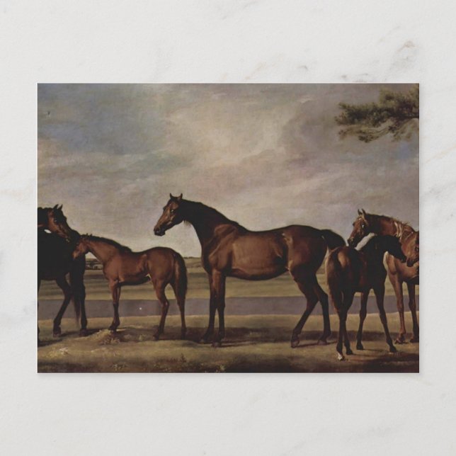 Cartão Postal George Stubbs-Mares, amigos antes de uma tempestad (Frente)