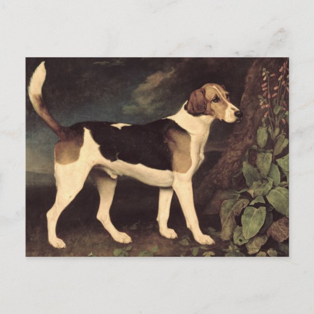 Cartão Postal George Stubbs | Ringwood, Brocklesby Foxhound, 1 (Frente)
