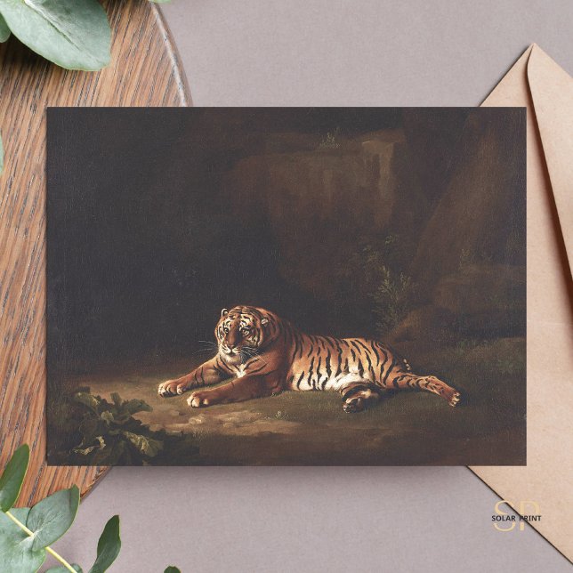 Cartão Postal George Stubbs Tiger Pintura Impressão (Criador carregado)