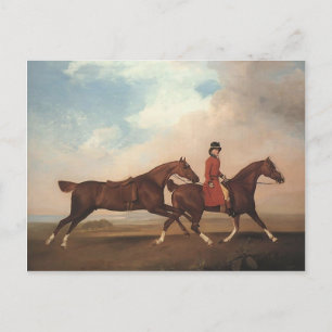 Cartão Postal George Stubbs-William Anderson, dois cavalos de se