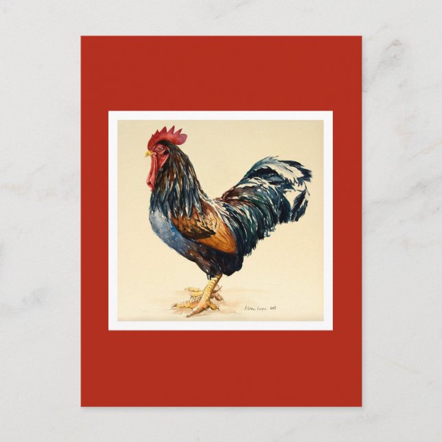 Cartão Postal George's Cockerel 2007 (Frente)