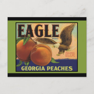 Cartão Postal Georgia Eagle Peaches