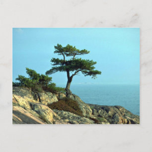 Cartão Postal Georgiano Bay Shoreline, Lago Huron, Ontário, Cana