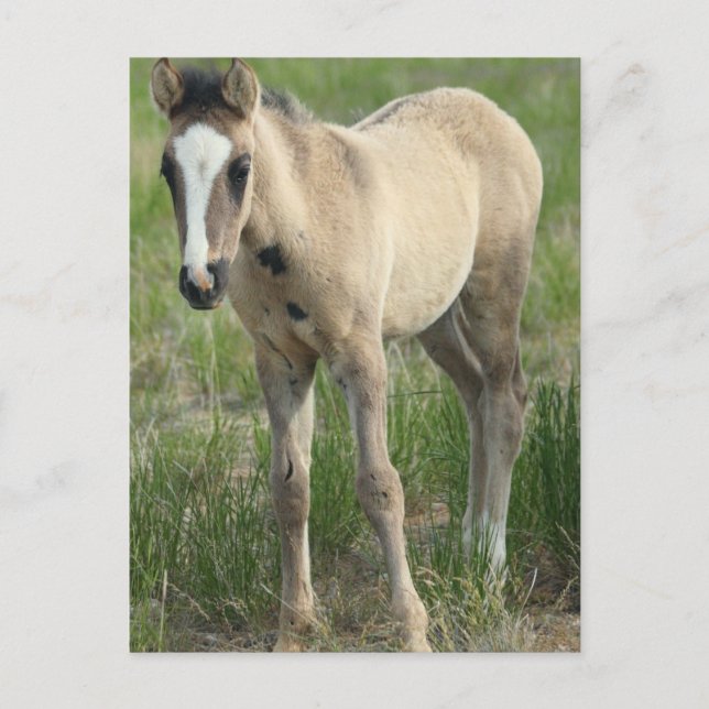 Cartão Postal Gerações (Frente)