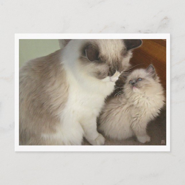 Cartão Postal Gerações (Frente)