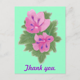 Cartão Postal Géranium roxo rosa Obrigado Cartões-postais