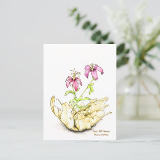 Cartão Postal Geranium wildflower watercolor