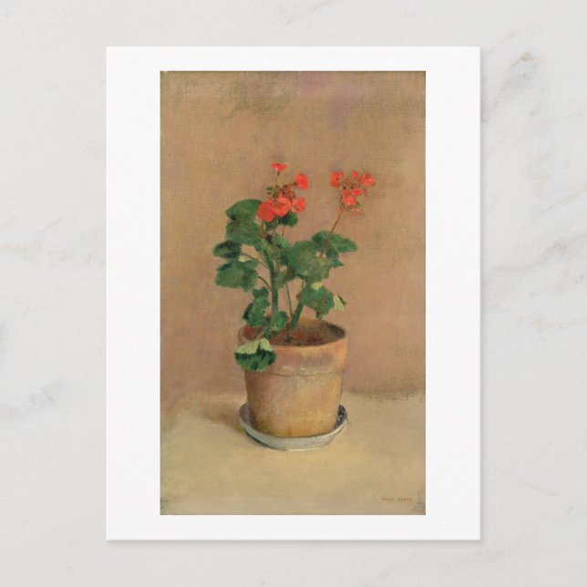 Cartão Postal Geraniums in a Pote, c.1905 (oil on canvas) (Frente)