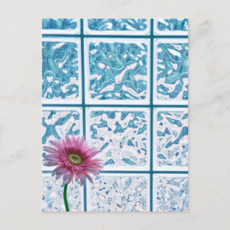 Cartão Postal Gerber Daisy