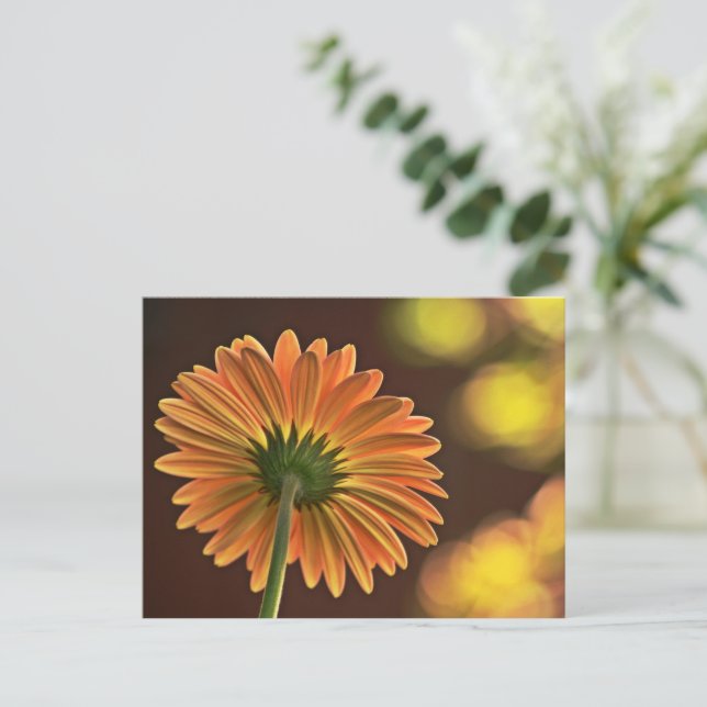 Cartão Postal Gerbera (Em pé/Frente)