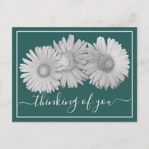 Cartão Postal Gerbera Daisies Fundo Ciano Pensando em Você