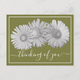 Cartão Postal Gerbera Daisies Fundo Verde Pensando Em Você