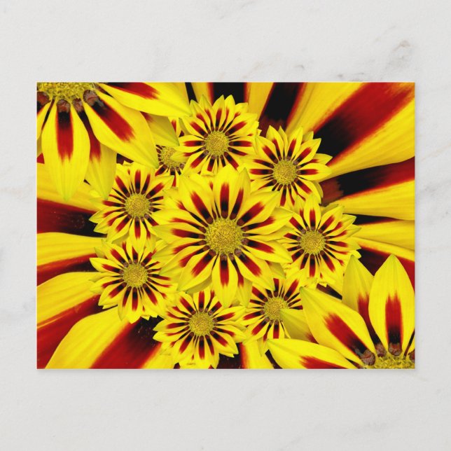 Cartão Postal Gerbera Daisy Sunflower, Amarelo e Vermelho Strike (Frente)